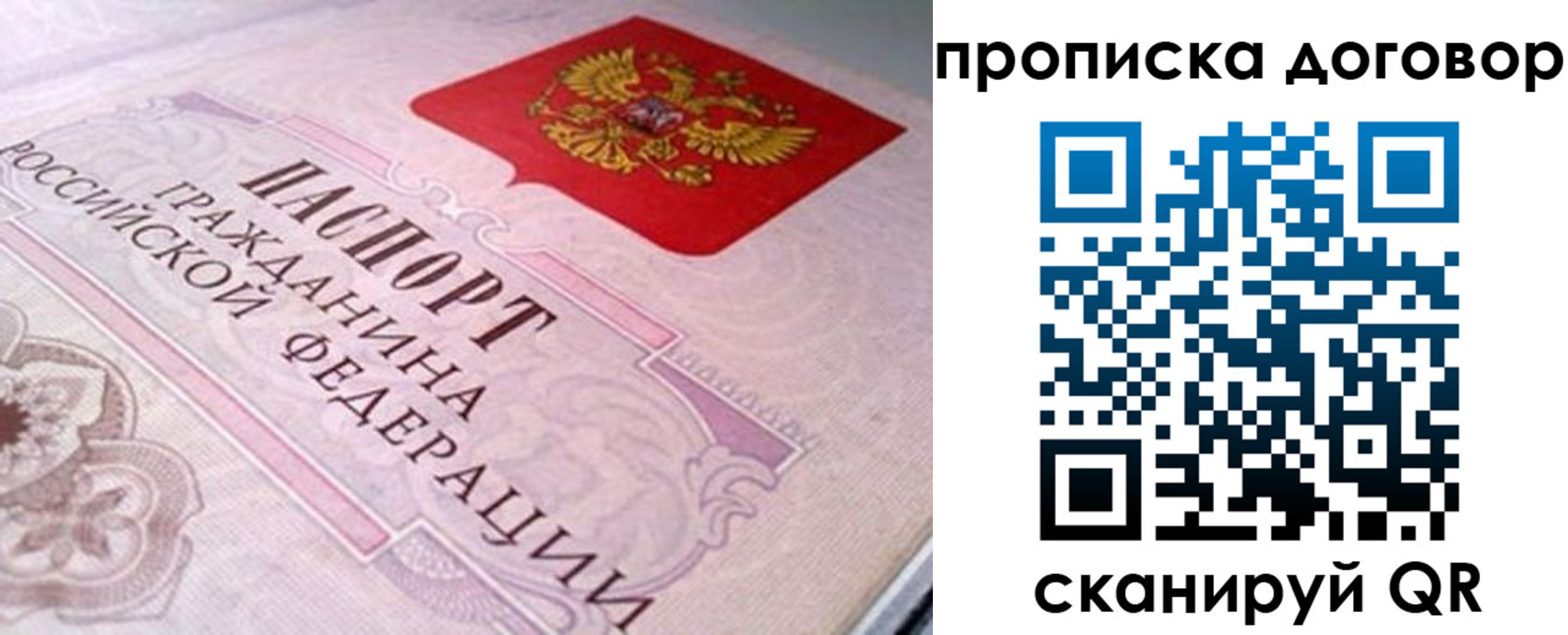 временная регистрация в Апатитах
